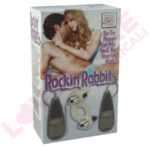 ROCKIN RABBIT