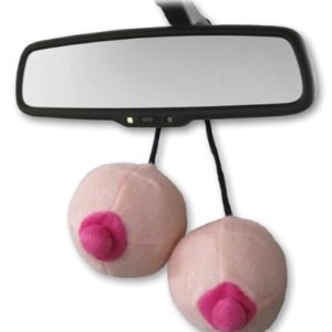 Road Titties