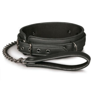 FAUX LEATHER COLLAR & LEAD SET