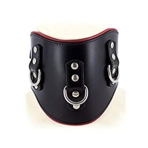 HD Leather Posture Collar